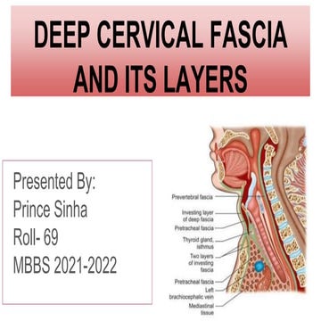 Deep cervical fascia of neck.pptx