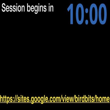 Deeper Learning 2019