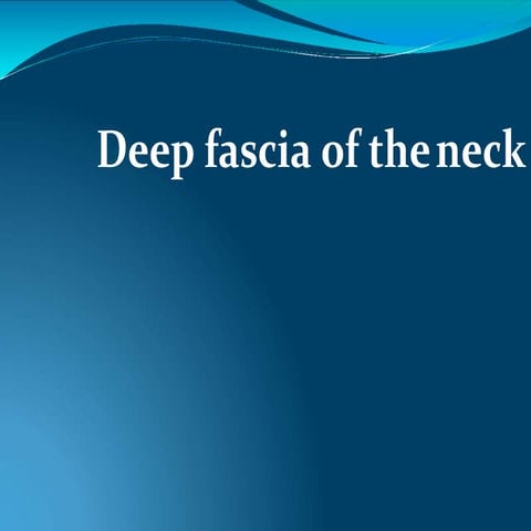 Deepfasciaofneck  by dr.meher 