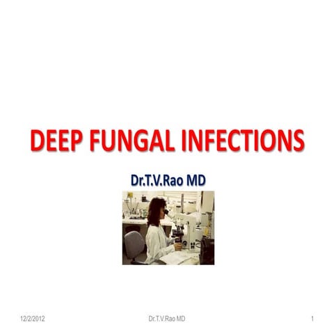 Deep fungal infections 