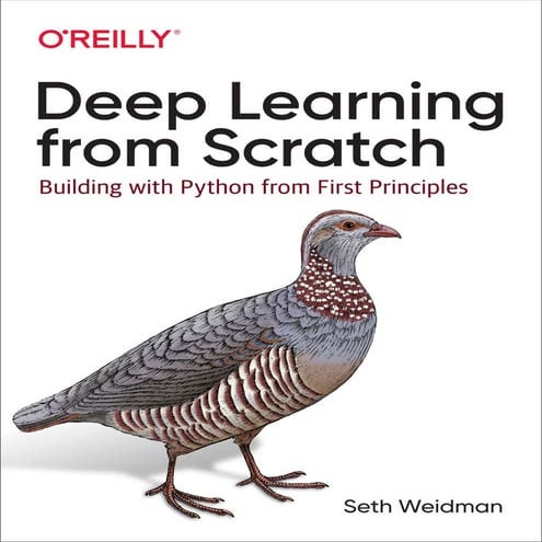Deep Learning from Scratch - Building with Python from First Principles.pdf