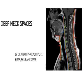 DEEP NECK SPACES.pptx