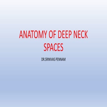 DEEP NECK SPACES ANATOMY.pptx