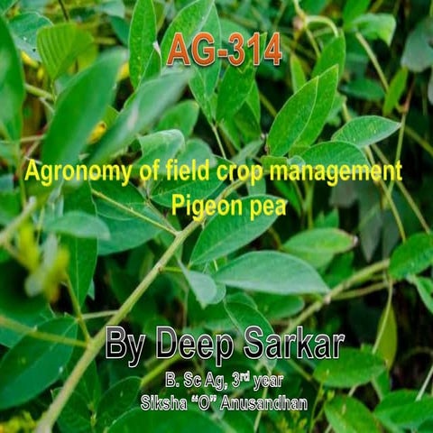 Presentation on Pigeon Pea