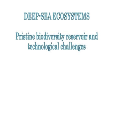 Deep sea ecosystem