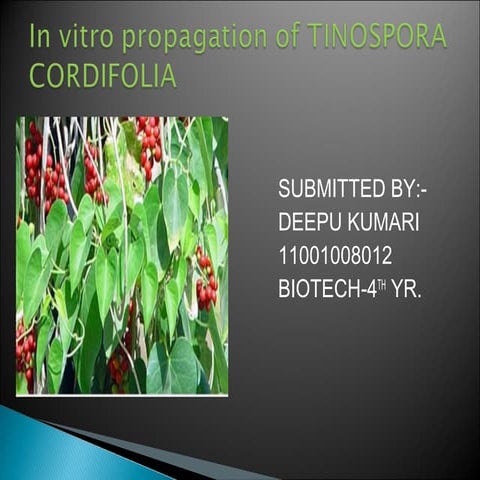 Deepu | PPT