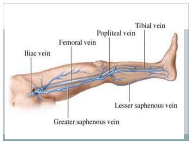 PHLEBITIS AND THROMBOPHLEBITIS.pptx
