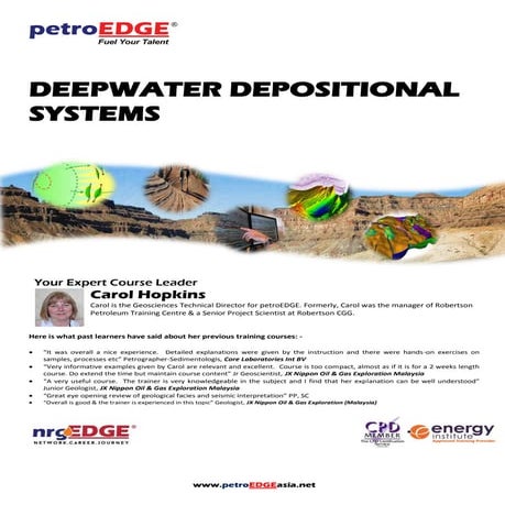 Deepwater Depositional Systems
