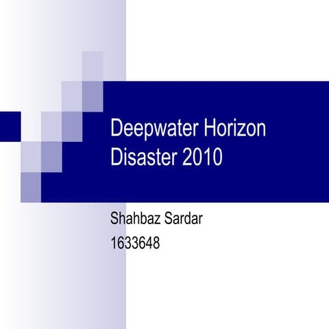 Deepwater horizon 2010