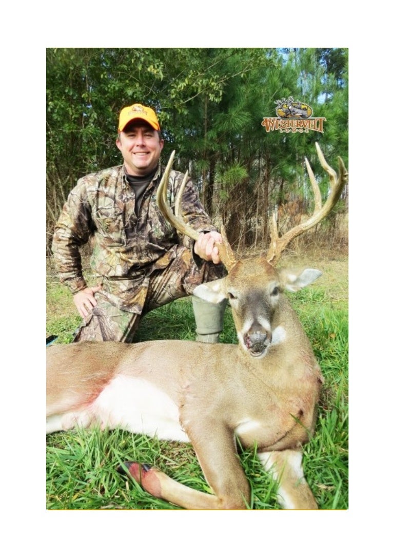 Deer hunting 4+ benefits for hunters