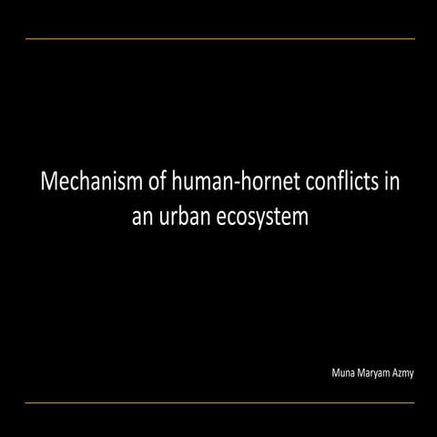 Mechanism of human-hornet conflicts in an urban ecosystem