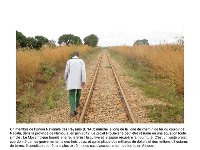 ProSavana accaparement de terre