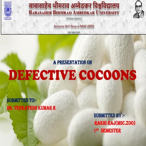 DEFECTIVE COCOON PPT.pptx sericulture core paper | PPTX