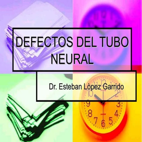 Defectos del tubo neural
