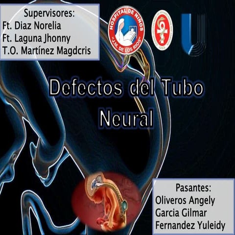 Defectos del tubo neural | PPTX