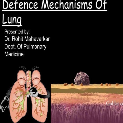 Defence mechanism of lung