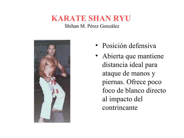 Defensa Personal Posiciones De Karate