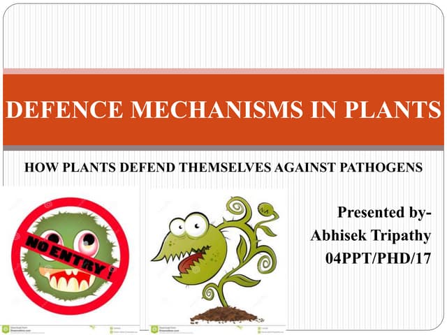 Defense mechanisms in plants