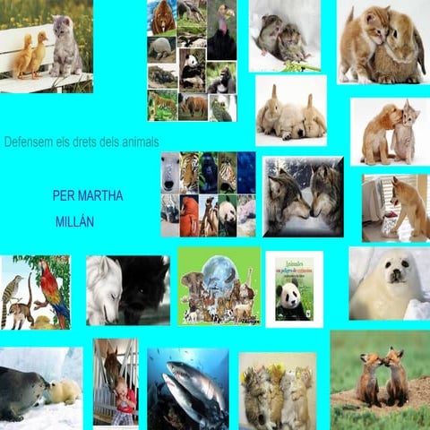 Defensem els animals 