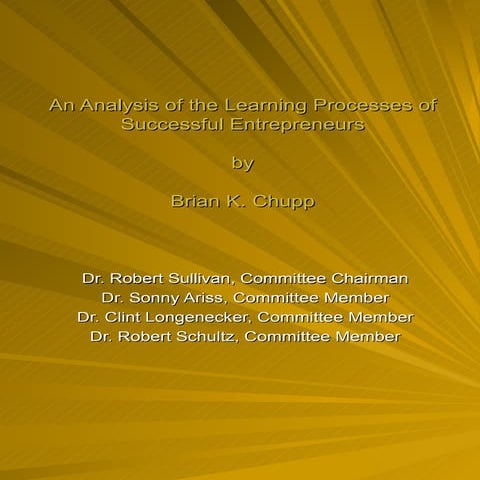 An Analysis of the Learning Processes of Successful Entrepreneurs