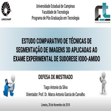 Defesa do meu Mestrado: Segmentação de Imagens 3D com Crescimento de Regiões