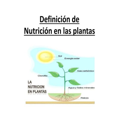 Definición de                        nutrición en las plantas