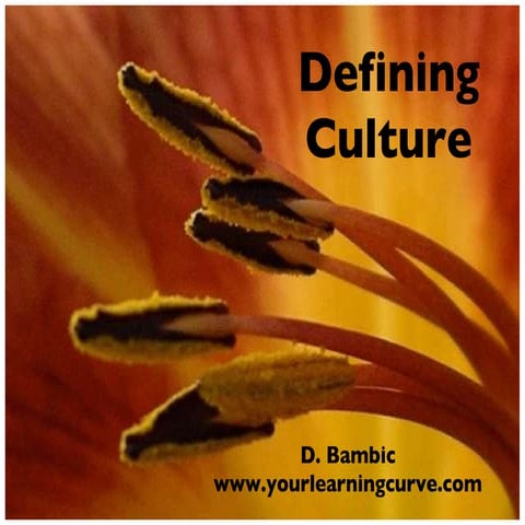 Defining features of culture