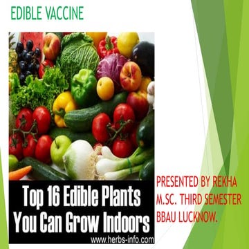 edible vaccine