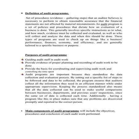 Definition of audit programme