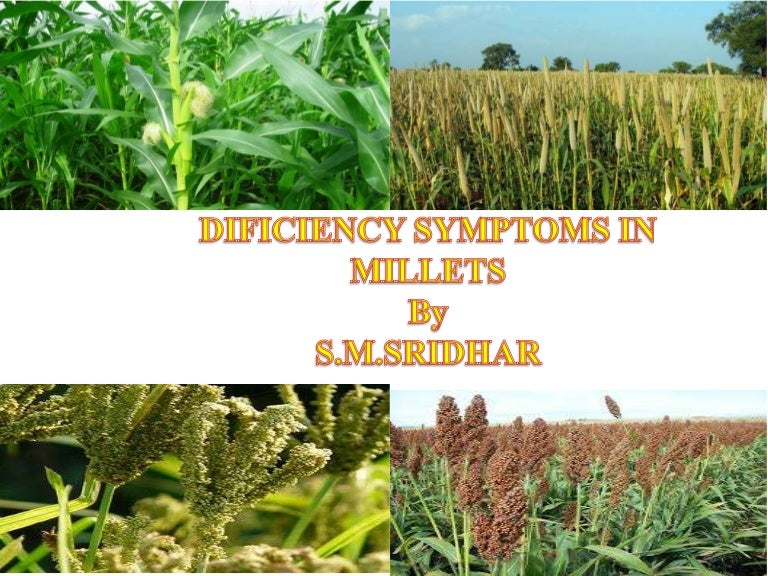 Deficiency in millets
