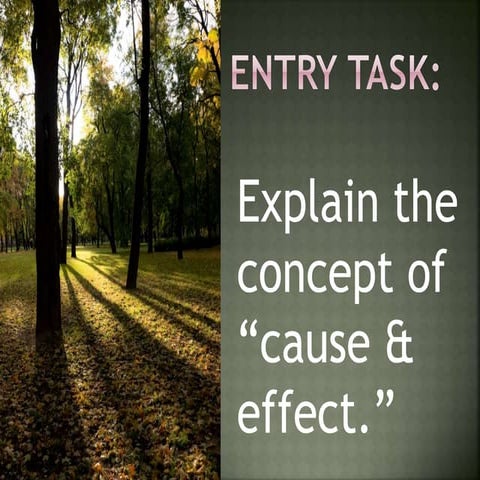 Deforestation - Cause & Effect 