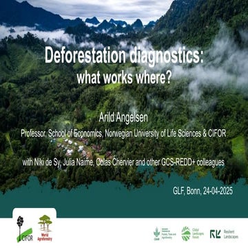 Deforestation diagnostics: what works where? – GLF Forests 2025 | PDF