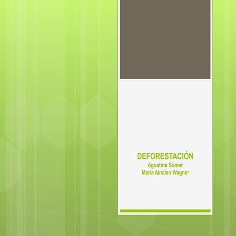 Deforestación.