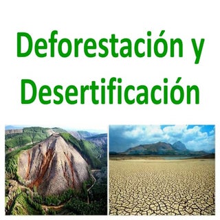 Deforestación y desertificación