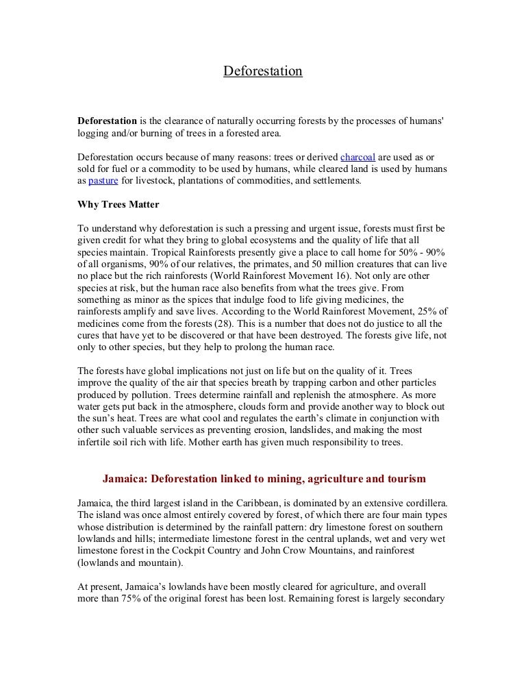 English Essays Examples Essay Deforestation Effects Lok Lehrte Info The Body Of Your Essay Argues Explains Or My First Day Of High School Essay also Essay In English Language How To Write Personal Statements And Application Essays Effect Of Science Essay Questions