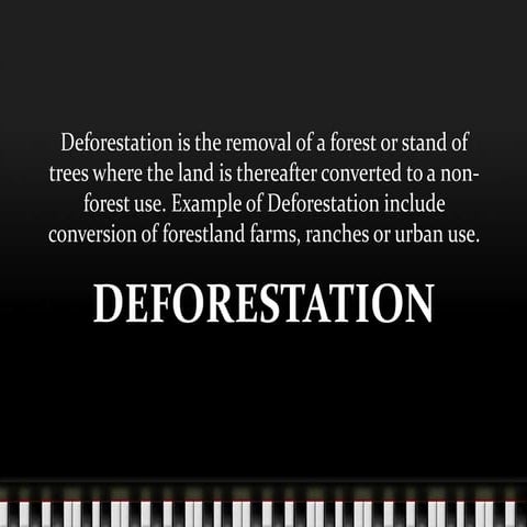 A presentation done on Deforestation and its effects | PPTX