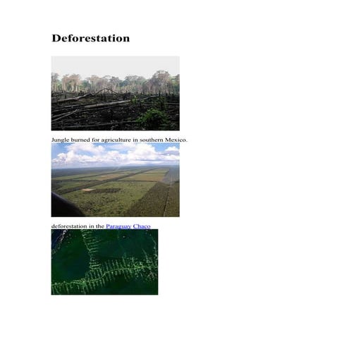 Deforestation
