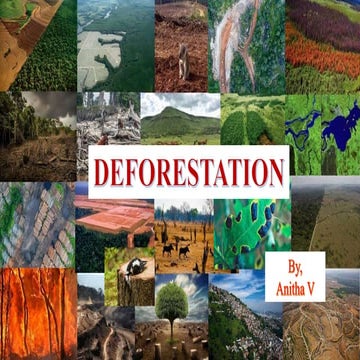 Deforestation