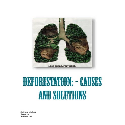 Deforestation