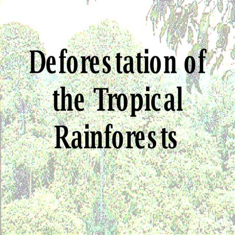 Seep effects of deforestation | PPT