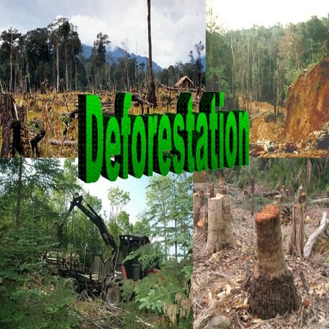 deforestation presentation