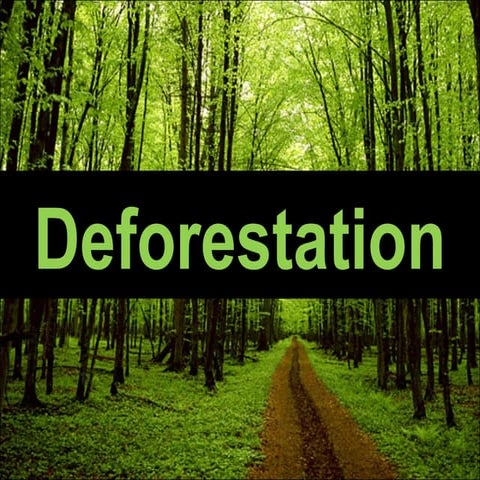 afforestation-and-deforestation-ppt-afforestation-and-deforestation