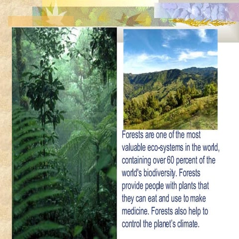 Land governance – a key factor for sustainability | PDF