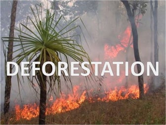 Deforestation group work