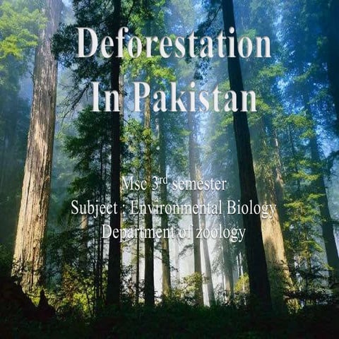 Deforestation in pakistan