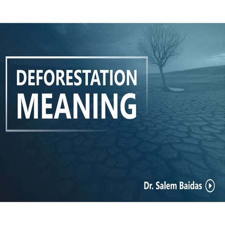 Deforestation Meaning    