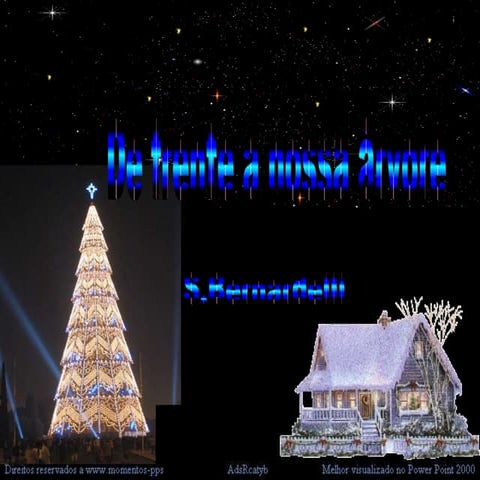De Frente A Nossa Arvore