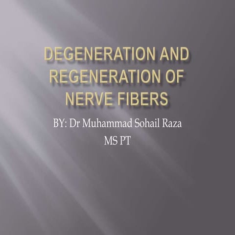 Degeneration and regeneration of