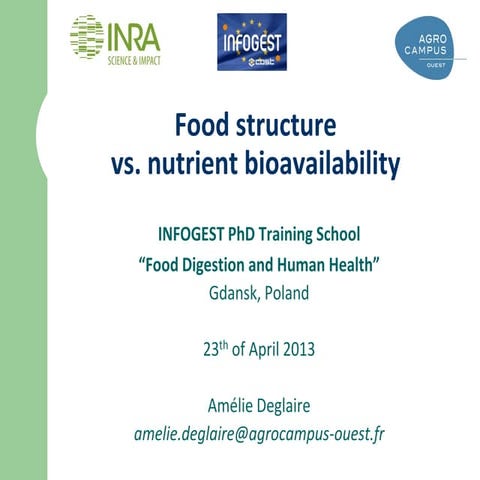 Food structure and bioavailability - INFOGEST, 2013