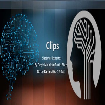 Software Clips